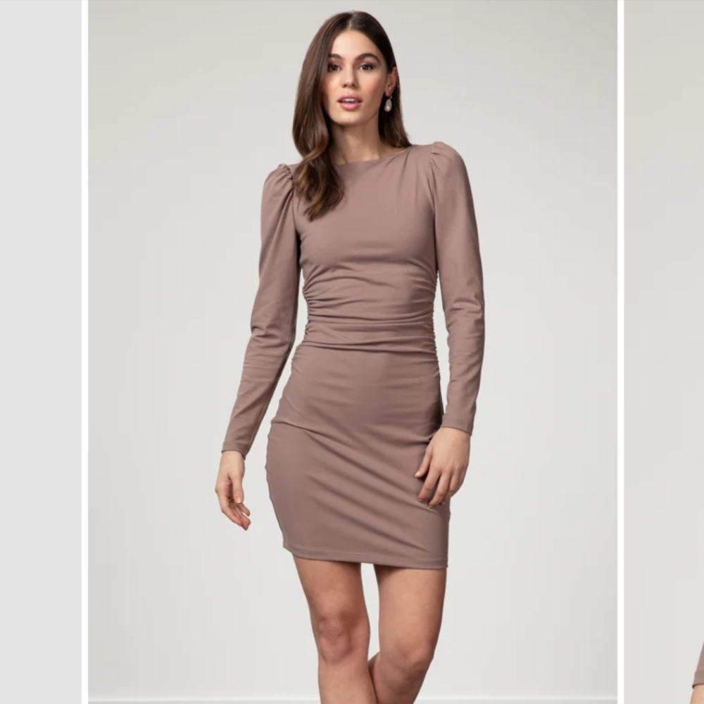 Susana Monaco Long Puff Sleeve Ruched Dress In Coco NWT Size S